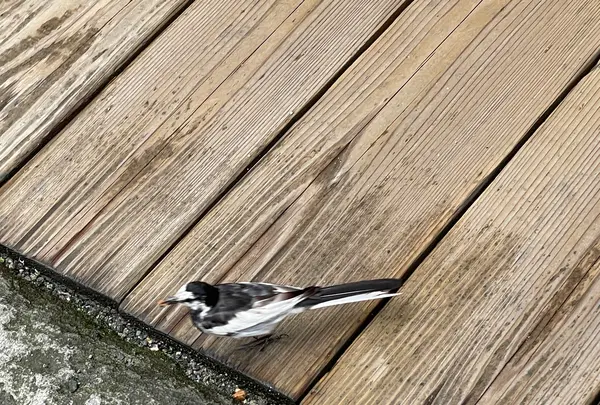 古い町並の写真・動画_image_534695