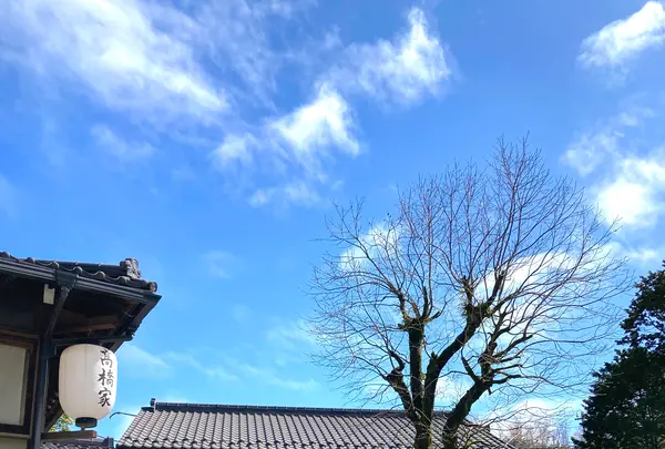 髙橋家の写真・動画_image_534697