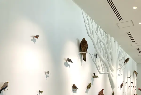 TAKAO 599 MUSEUMの写真・動画_image_534700