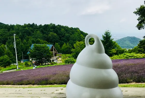 幌見峠ラベンダー園の写真・動画_image_534784