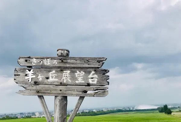 羊ヶ丘展望台の写真・動画_image_534791