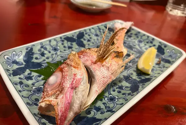 割烹居酒屋一龍の写真・動画_image_535622