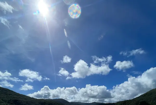 まんさくツアーサービスの写真・動画_image_535626