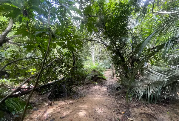 ナーラの滝の写真・動画_image_535634