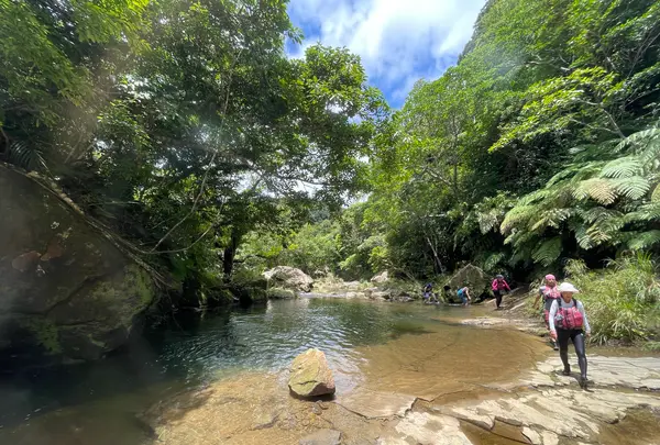 ナーラの滝の写真・動画_image_535636