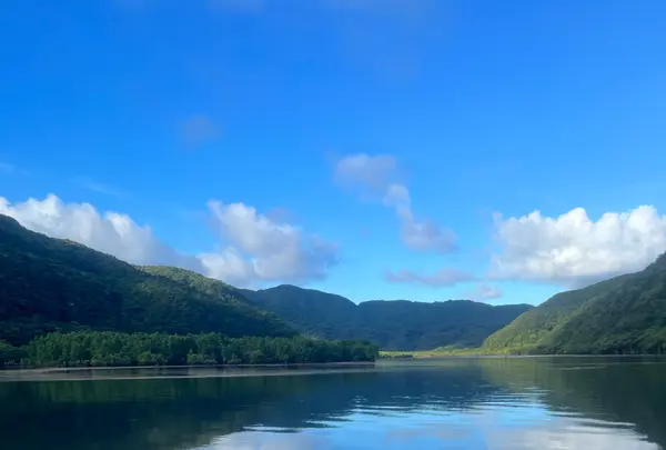 西表島ガイドUMICO Iriomote Guide UMICOカヌー/カヤック＆トレッキングの写真・動画_image_535692