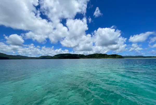 西表ダイビングサービス・トネリコの写真・動画_image_535704