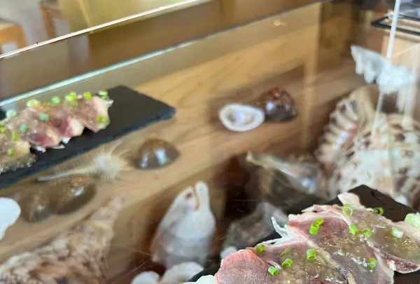 ハナイチ デアマールの写真・動画_image_535711