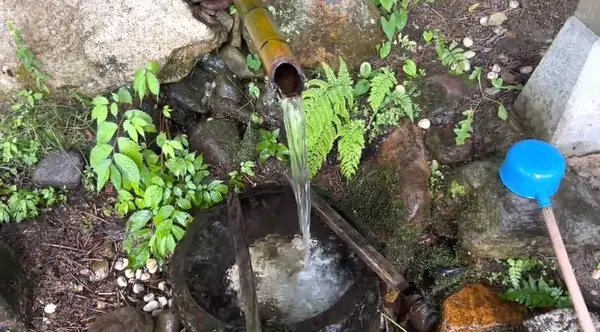 塩釜の冷泉の写真・動画_image_535744
