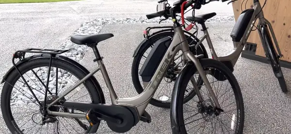 GREENable HIRUZENの写真・動画_image_535747