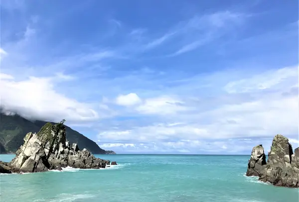 粉鳥林魚港の写真・動画_image_535953