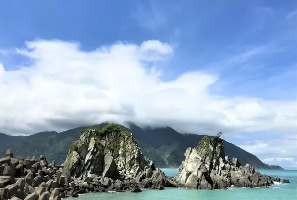 粉鳥林魚港の写真・動画_image_535954