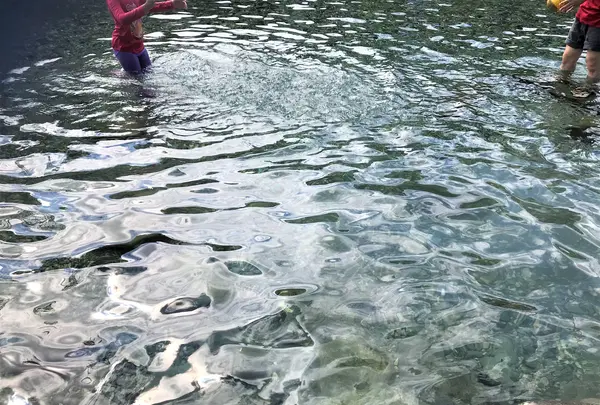 Dong Yue Yong Quanの写真・動画_image_535956