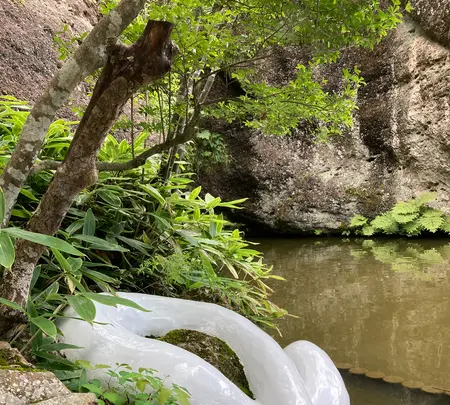大谷寺・大谷観音の写真・動画_image_536230