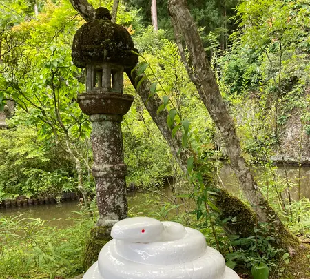 大谷寺・大谷観音の写真・動画_image_536231