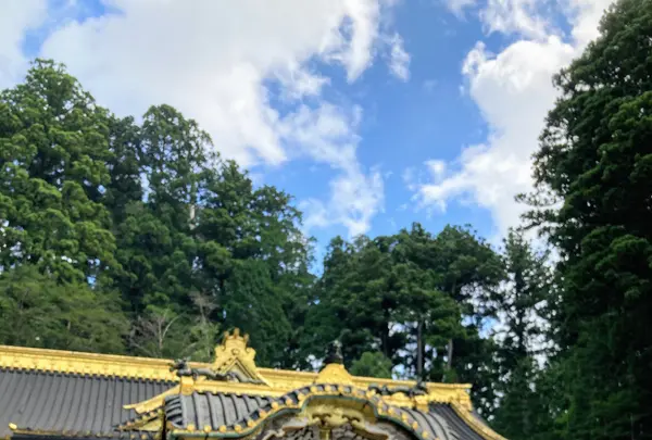 日光東照宮の写真・動画_image_536254