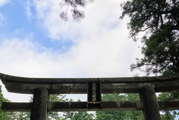 日光東照宮の写真・動画_image_536256