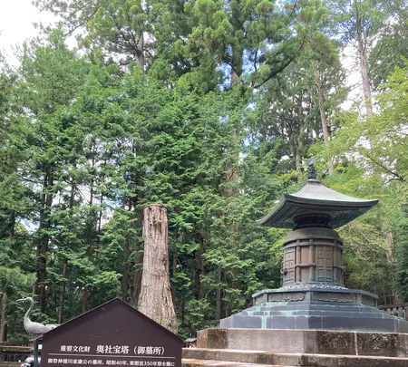 日光東照宮の写真・動画_image_536259