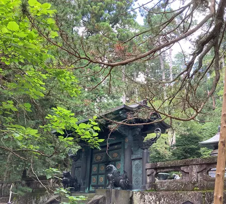 日光東照宮の写真・動画_image_536261