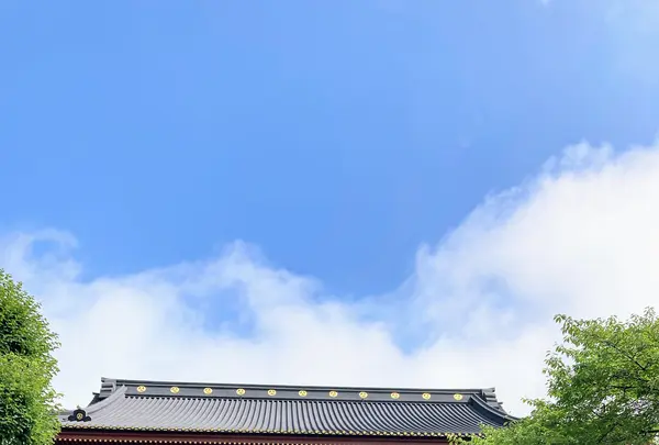 日光山　輪王寺の写真・動画_image_536269