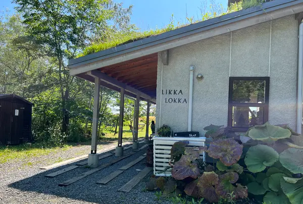 リッカ ロッカの写真・動画_image_536886