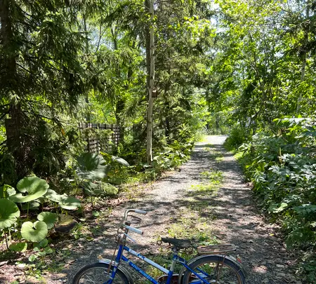 リッカ ロッカの写真・動画_image_536887