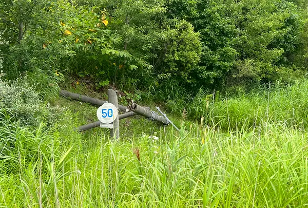 西山火口散策路の写真・動画_image_537639