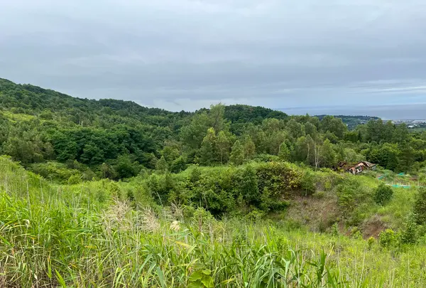 西山火口散策路の写真・動画_image_537641