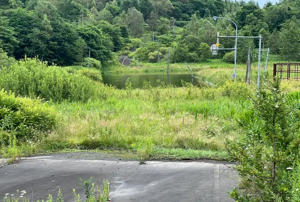 西山火口散策路の写真・動画_image_537642