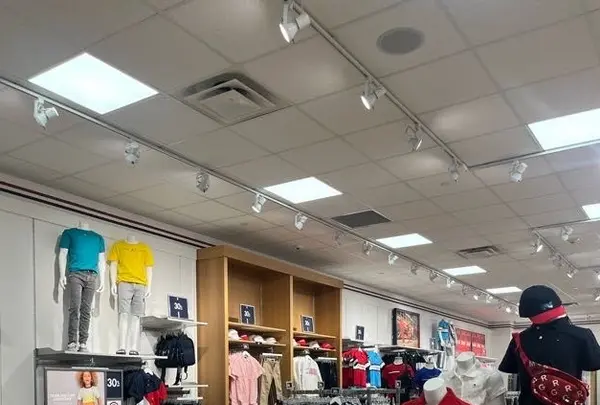 トミー ヒルフィガーの写真・動画_image_537709