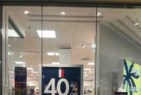 トミー ヒルフィガーの写真・動画_image_537710