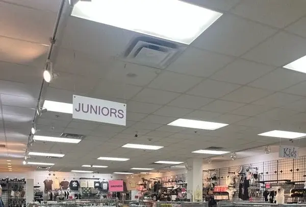 Local Feverの写真・動画_image_537723