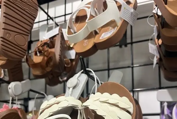 Local Feverの写真・動画_image_537726