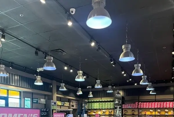 Skechersの写真・動画_image_537732