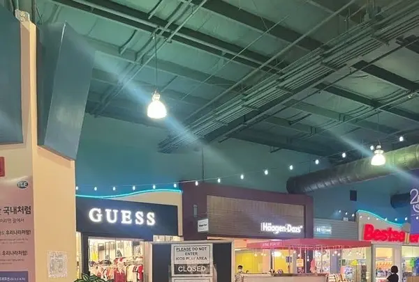 キッズ コーナーの写真・動画_image_537735