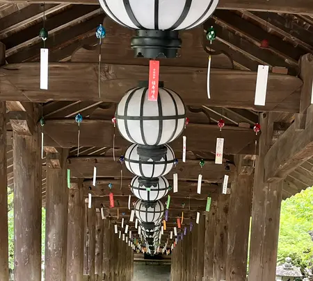 長谷寺の写真・動画_image_537888