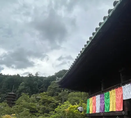 長谷寺の写真・動画_image_537889