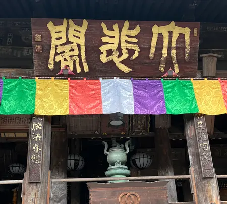 長谷寺の写真・動画_image_537890