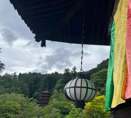 長谷寺の写真・動画_image_537891