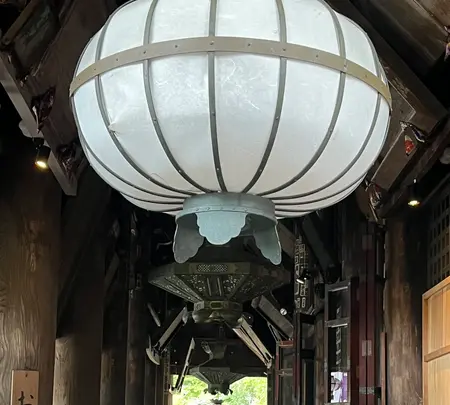 長谷寺の写真・動画_image_537892