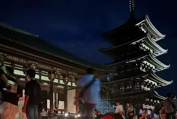 興福寺の写真・動画_image_537897