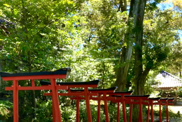 金澤神社の写真・動画_image_538060