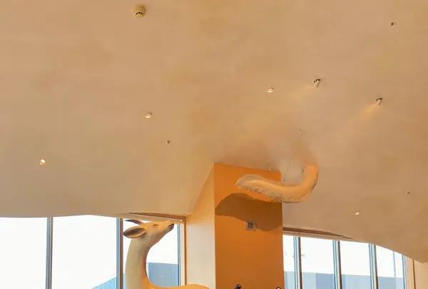 ホテルウィングインターナショナルプレミアム金沢駅前の写真・動画_image_538105