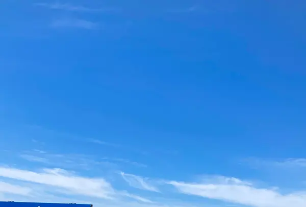 トトロ岩の写真・動画_image_538124