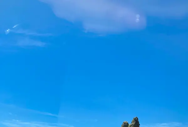 トトロ岩の写真・動画_image_538125