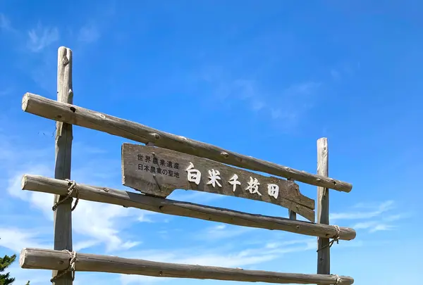 白米千枚田の写真・動画_image_538132