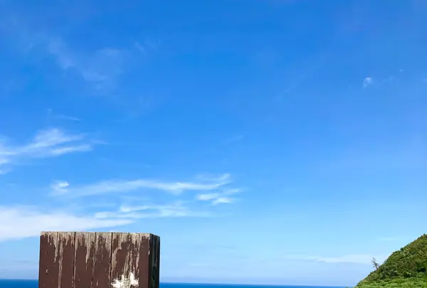 白米千枚田の写真・動画_image_538133