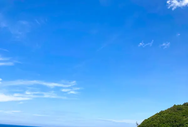 白米千枚田の写真・動画_image_538134