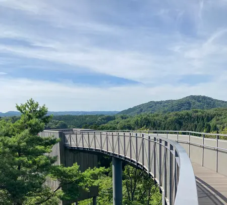 別所岳スカイデッキ 能登ゆめてらすの写真・動画_image_538145