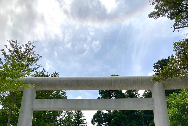 白山比咩神社の写真・動画_image_538173